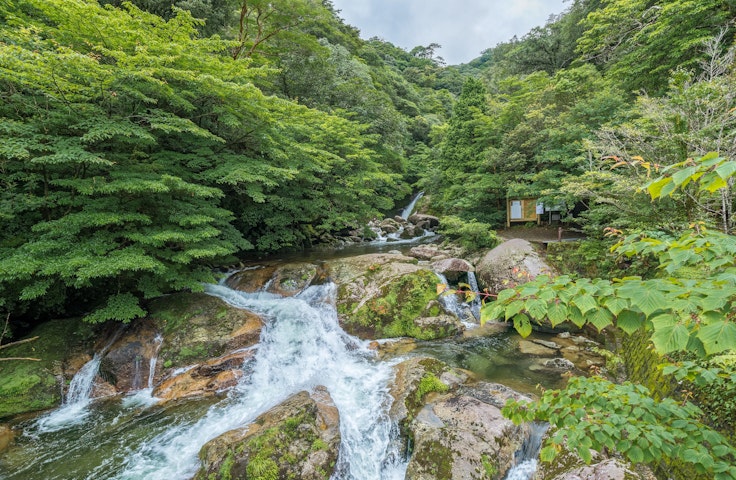 Shiratani Unsuikyo