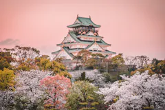 A traditional Japanese castle surrounded by blooming cherry blossom trees and vibrant foliage under a pink sky at sunset.