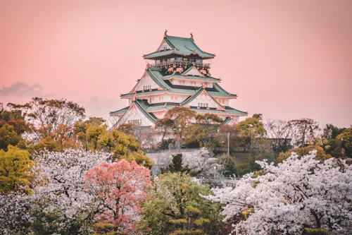 A traditional Japanese castle surrounded by blooming cherry blossom trees and vibrant foliage under a pink sky at sunset.