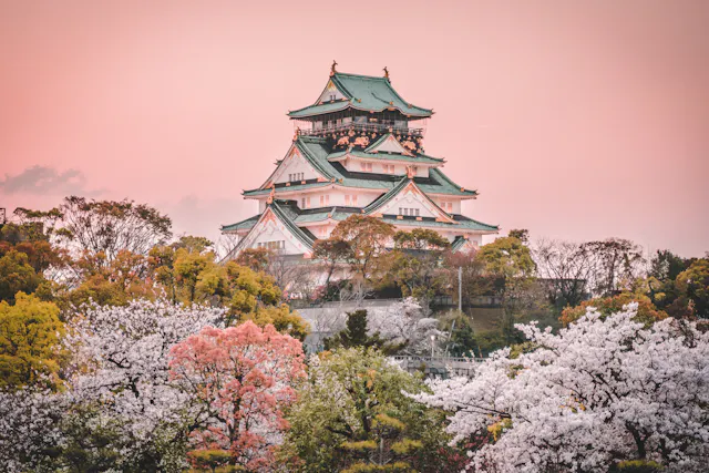 A traditional Japanese castle surrounded by blooming cherry blossom trees and vibrant foliage under a pink sky at sunset.