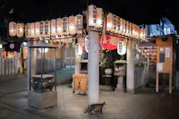 A tabby cat walks beneath hanging lanterns at a Japanese shrine at night, surrounded by pillars, offering boxes, and wooden prayer plaques.