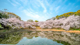 Tsurumi Ryokuchi Park