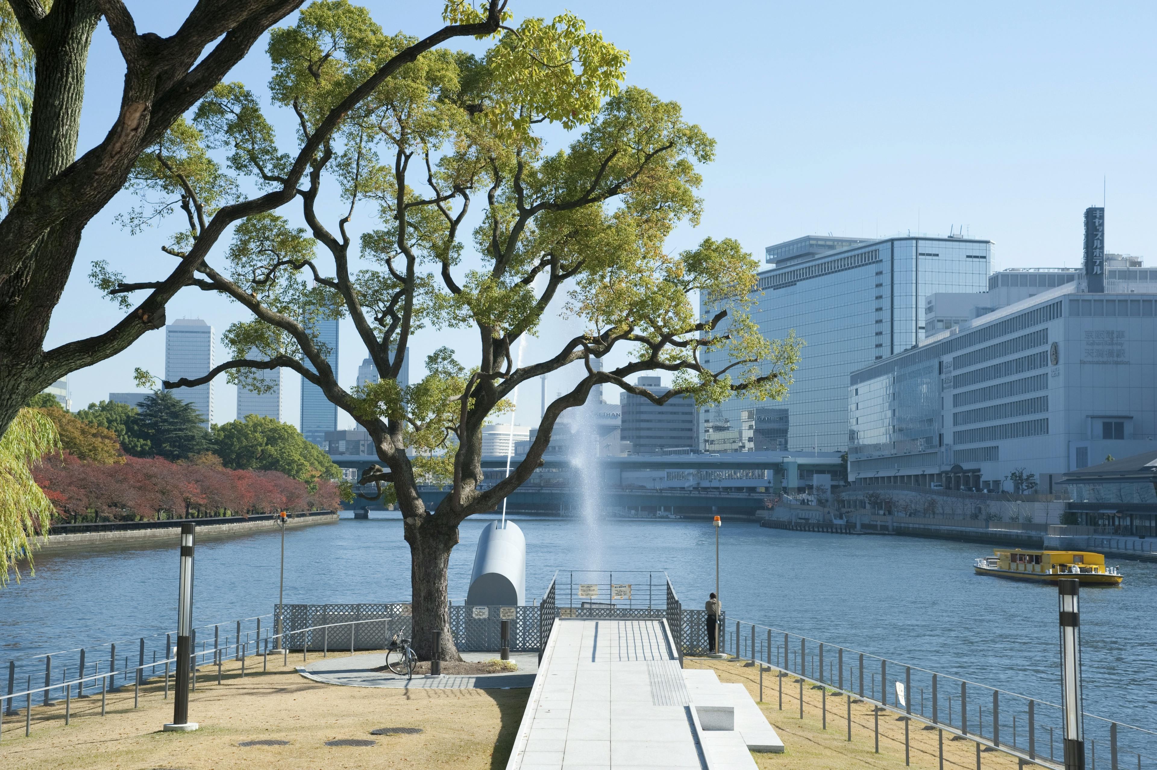 A large tree stands by a riverbank with a walkway extending toward the water. Modern buildings and a fountain are visible across the river under a clear, blue sky. A small yellow boat floats on the right side.