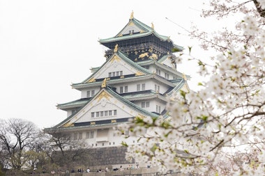 Osaka Walking Tour