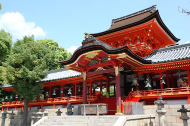 Kyoto Sakura Tour