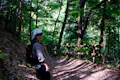 A person wearing sunglasses, a hat, and a backpack stands on a shaded forest trail holding a walking stick, surrounded by green trees and wooden railing along the path.