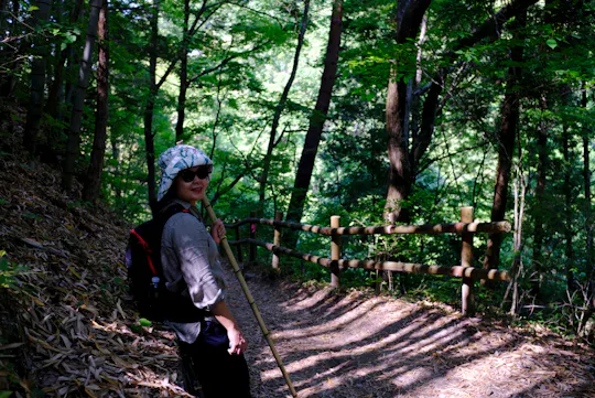 A person wearing sunglasses, a hat, and a backpack stands on a shaded forest trail holding a walking stick, surrounded by green trees and wooden railing along the path.