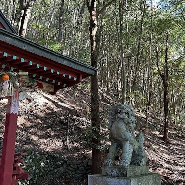 Kumano Kodo Tour Kumano Kodo Tour