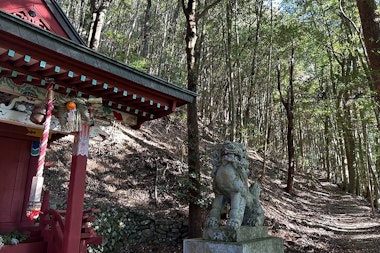 Kumano Kodo Tour