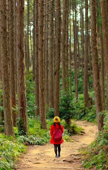 Kumano Kodo Kumano Kodo
