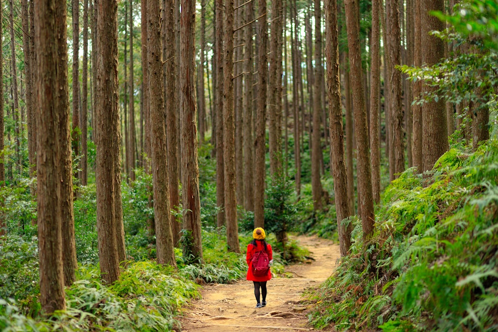 Kumano Kodo