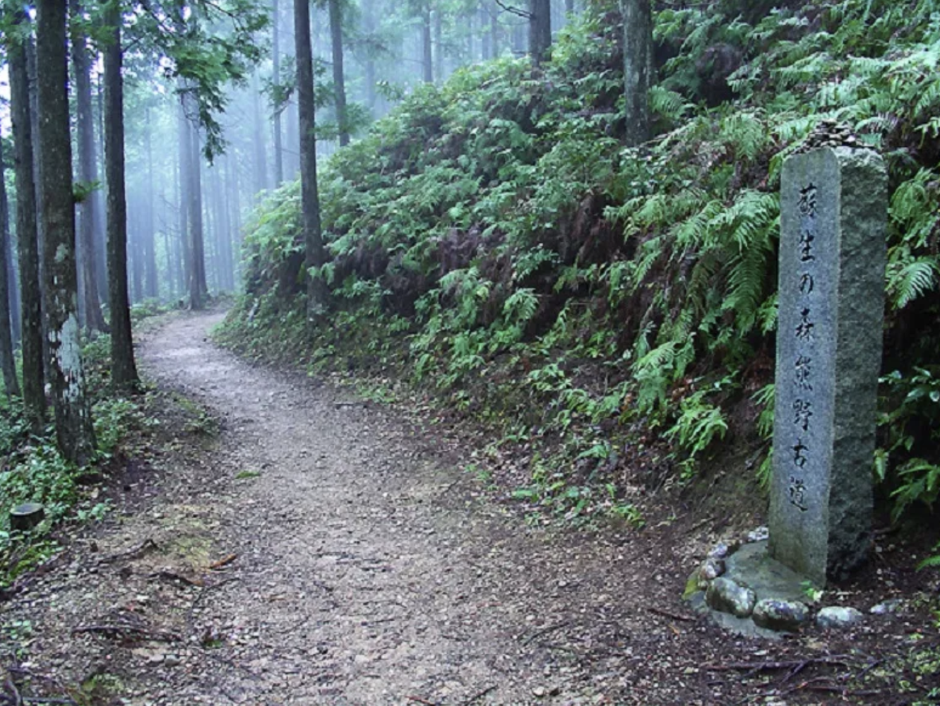Kumano Kodo