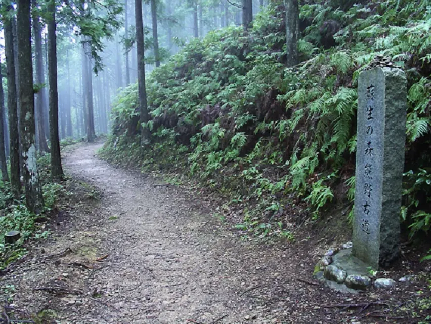 Kumano Kodo Kumano Kodo