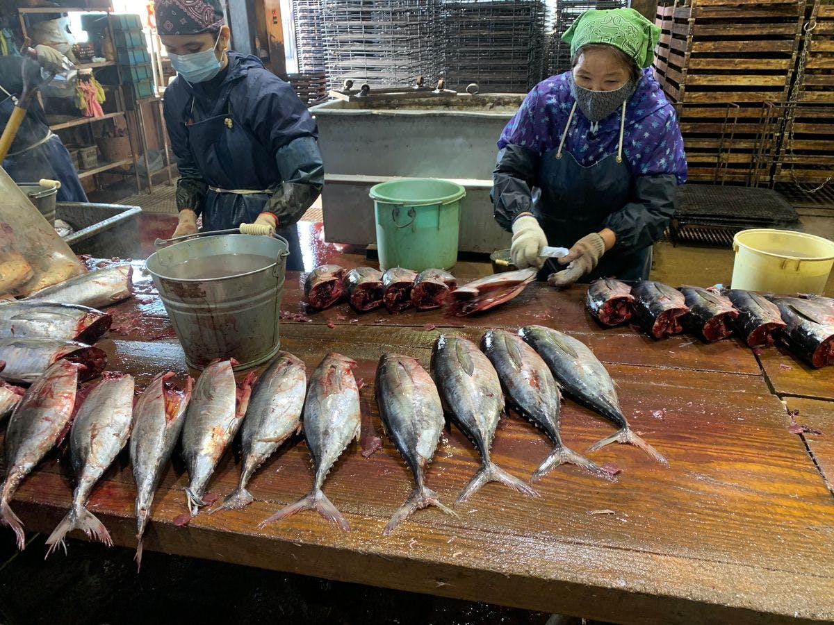 Katsuobushi Factory Tour