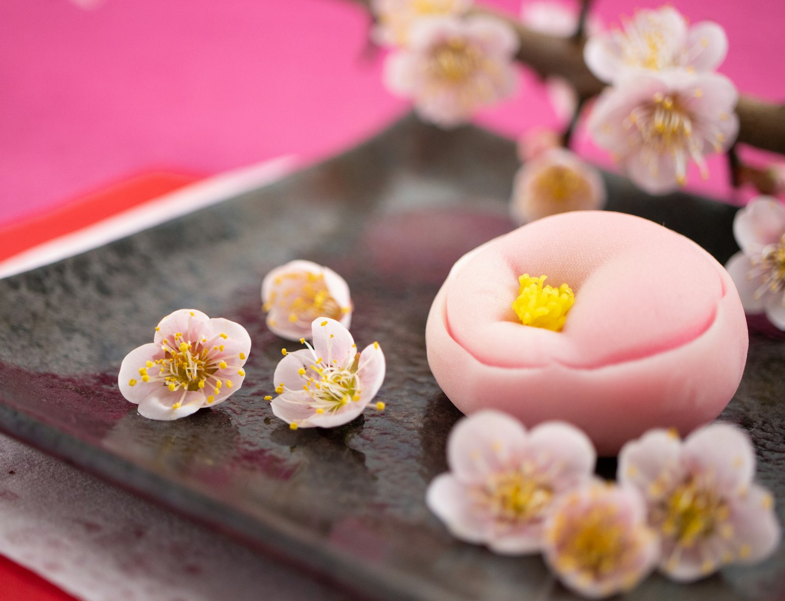 Wagashi Wagashi