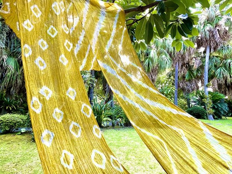 Scarf Plant Dyeing Workshop in Kagoshima