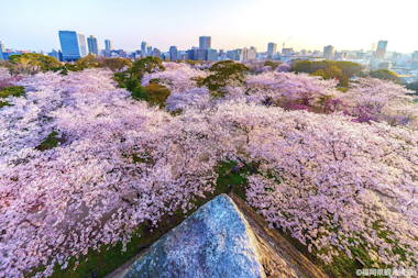 Fukuoka Tour