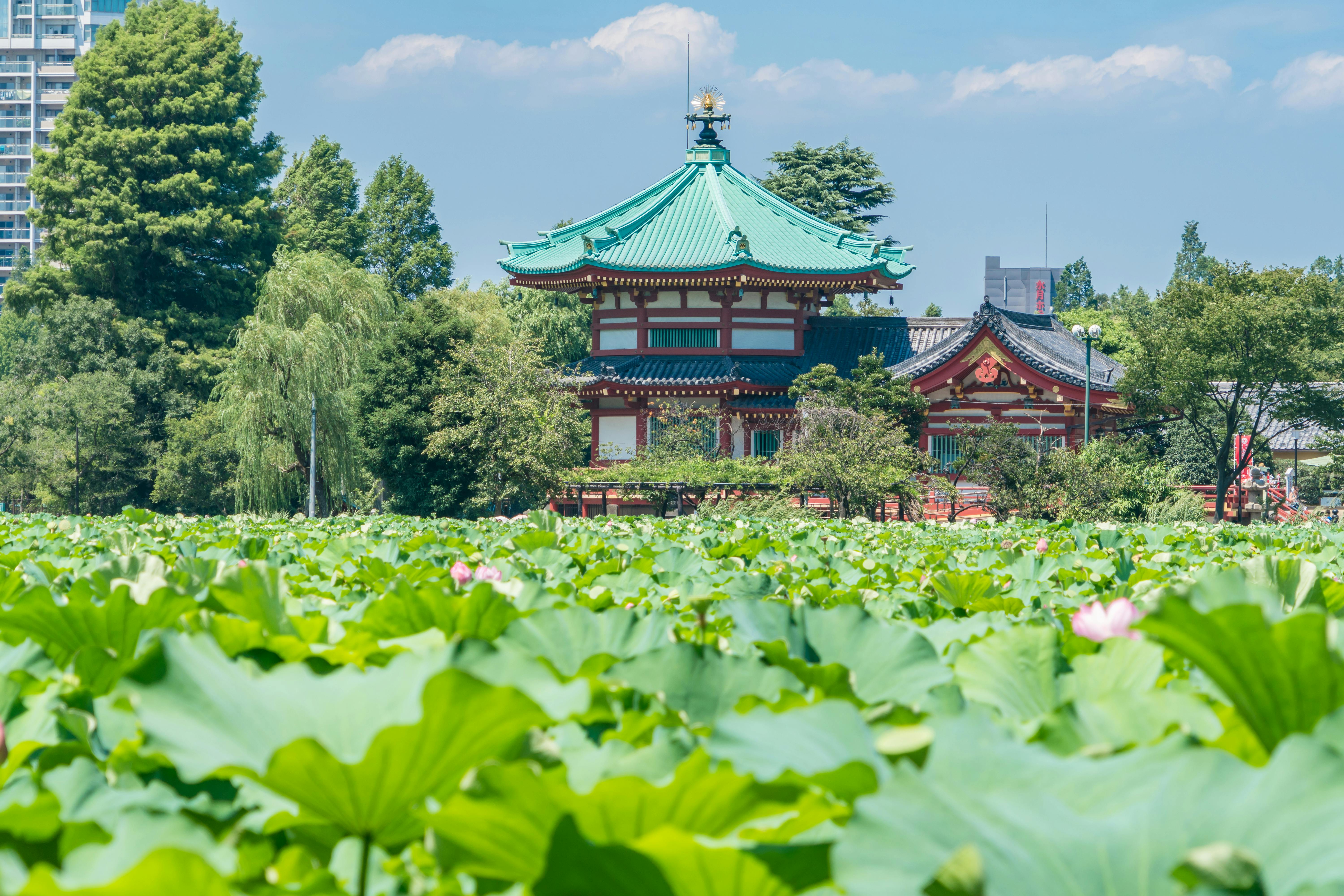Ueno Park