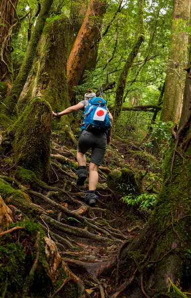 Yakushima Yakushima
