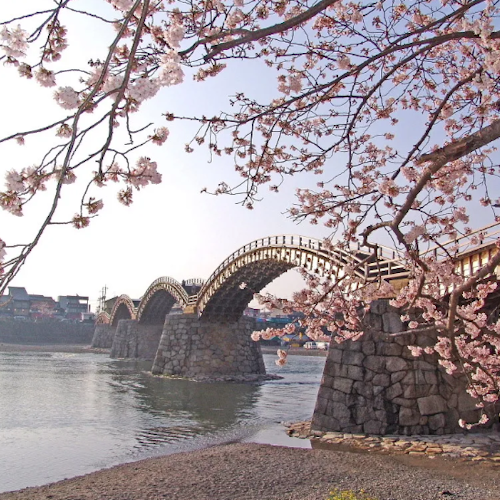 Kintaikyo Bridge Kintaikyo Bridge