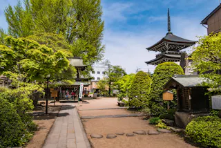A peaceful Japanese temple garden with lush green trees, a traditional pagoda, and a stone pathway leading to a wooden gate. The sky is blue with scattered clouds, and a few people are visible in the distance.