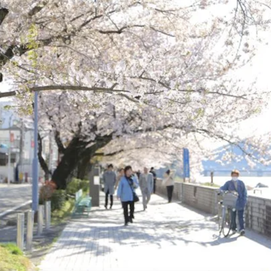 Seki Mino Tour Seki Mino Tour