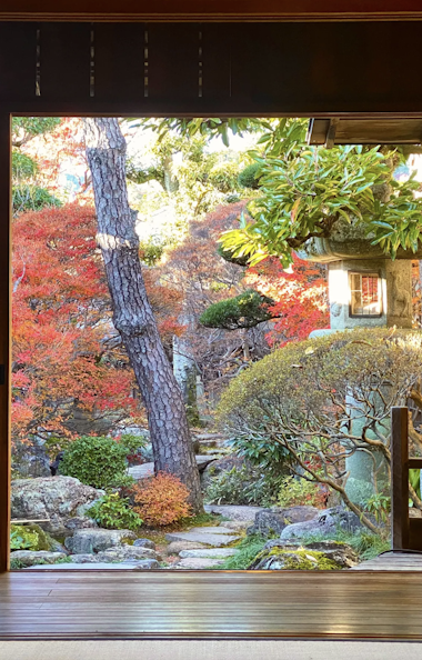 Seki Mino Tour Seki Mino Tour