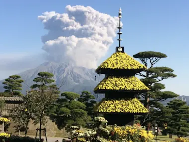 A volcanic eruption sends a large plume of ash into the sky behind neatly trimmed trees and a decorative pagoda-shaped structure covered in yellow flowers. The sky is clear and blue.