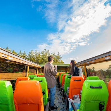 Kagoshima Bus Tour Kagoshima Bus Tour