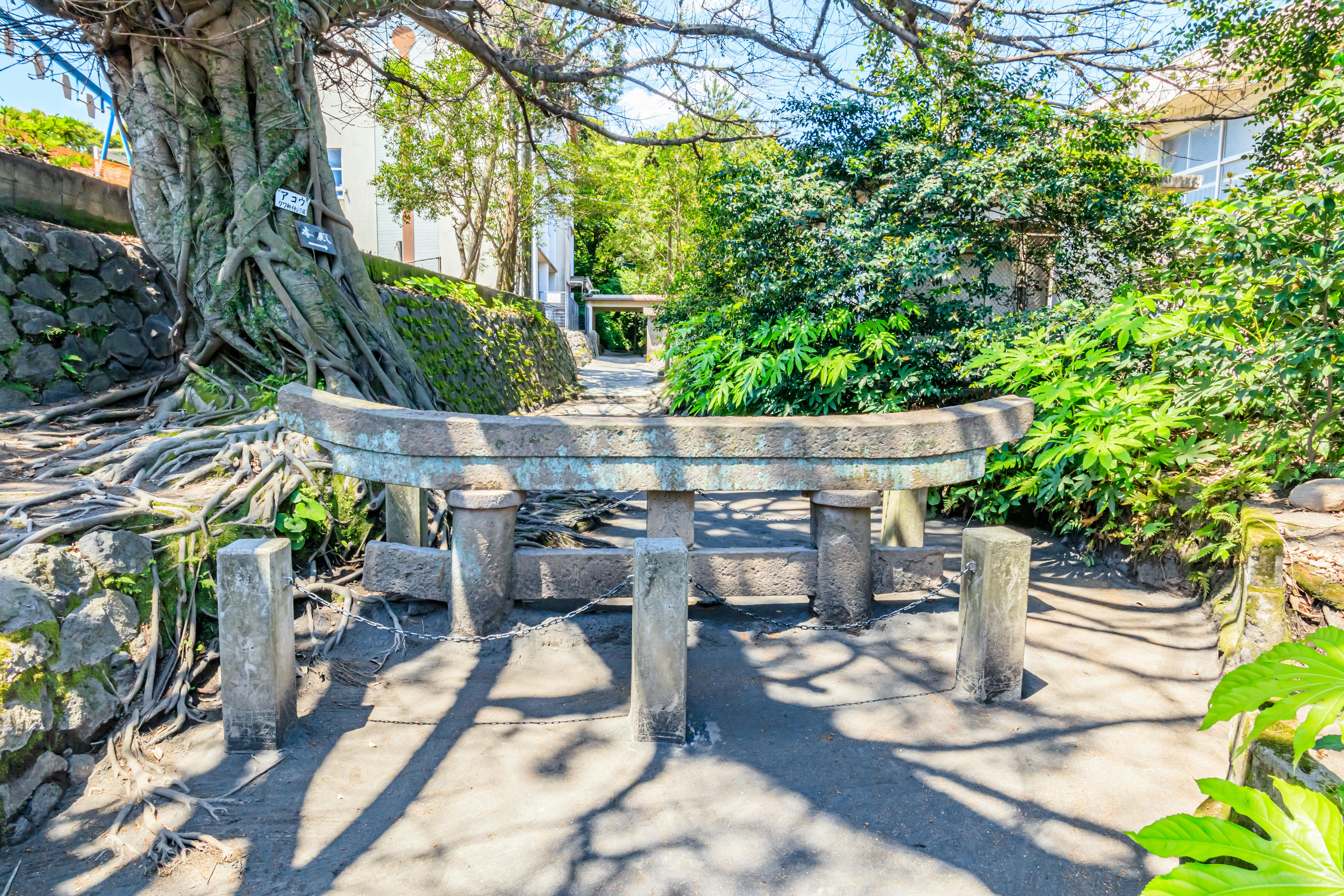 Kurokami Buried Torii Gate
