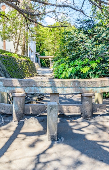 Kurokami Buried Torii Gate Kurokami Buried Torii Gate
