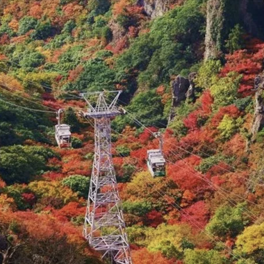 Shodoshima Tour Shodoshima Tour