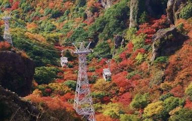 Shodoshima Tour