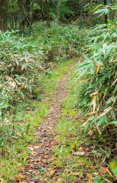 Lake Tachibana Lake Tachibana