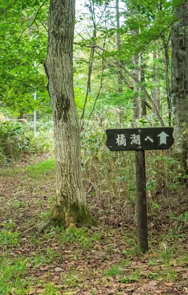 Lake Tachibana Lake Tachibana