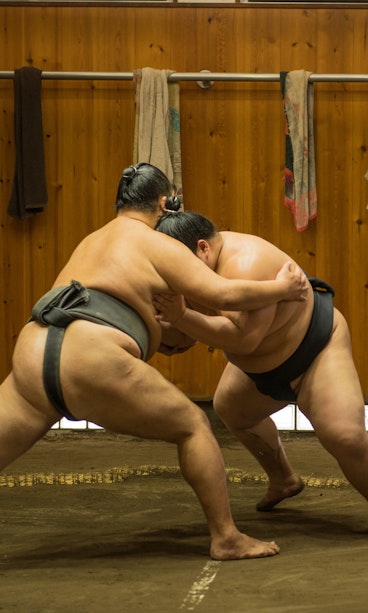 Sumo Training
