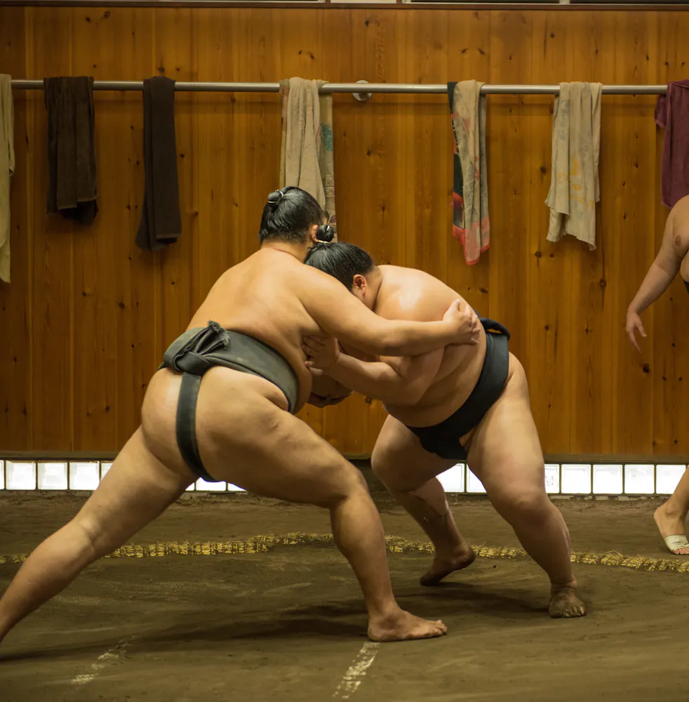 Sumo Training