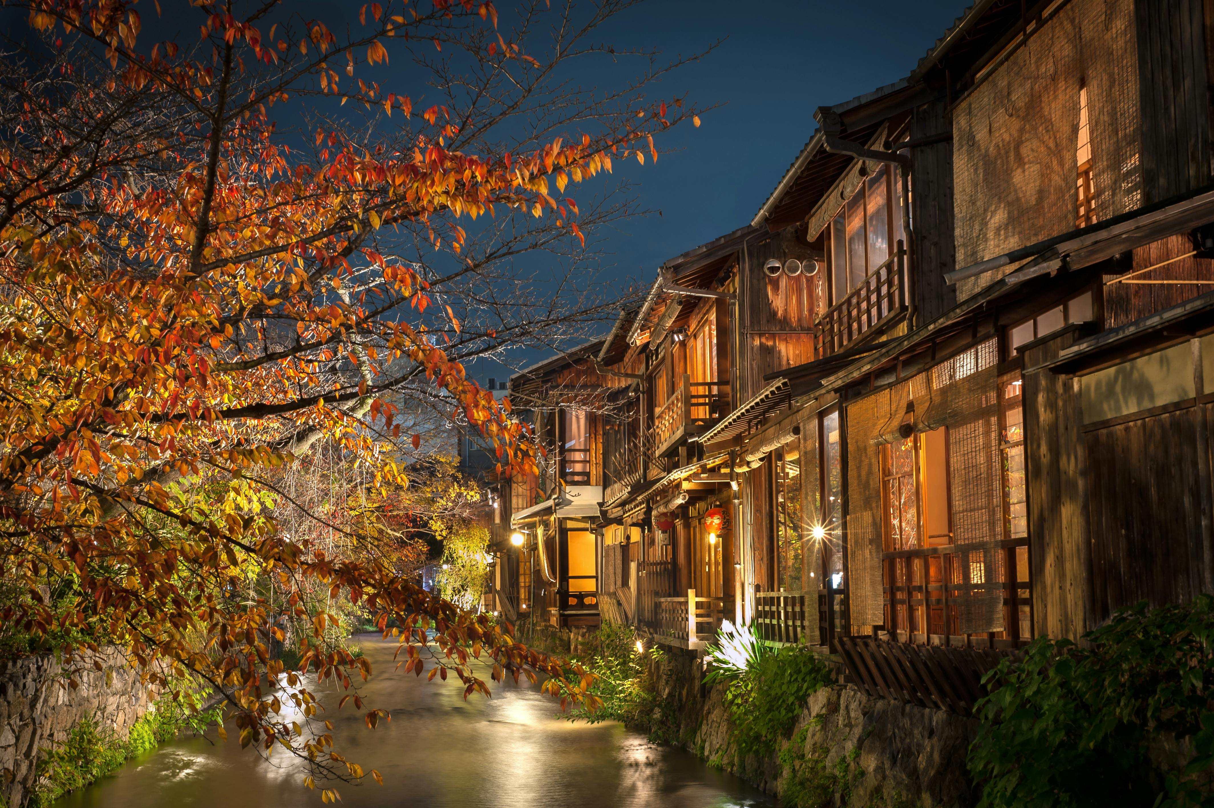 Traditional wooden houses line a narrow canal, illuminated by warm lights at night. Autumn leaves in shades of red and orange hang from a tree on the left, creating a peaceful, picturesque scene.