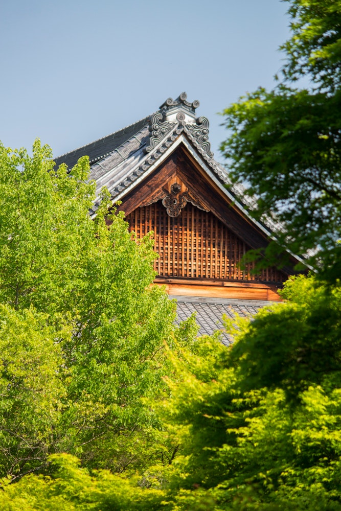 Tofuku-ji Temple