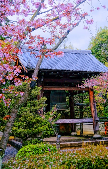 Renge-ji Temple - Trip To Japan