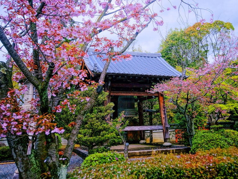 Kyoto - Trip To Japan