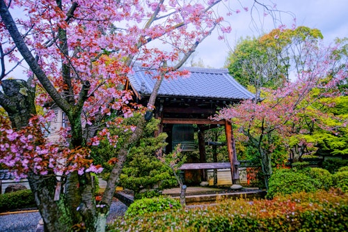 Renge-ji Temple