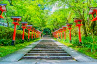 Stone steps lined with red traditional Japanese lanterns lead up through lush green trees in a serene outdoor setting, creating a peaceful and inviting pathway.