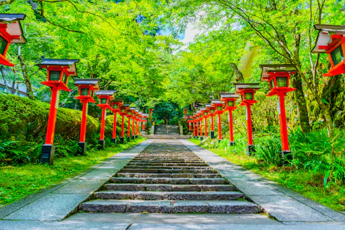 Stone steps lined with red traditional Japanese lanterns lead up through lush green trees in a serene outdoor setting, creating a peaceful and inviting pathway.