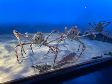 Toba Aquarium