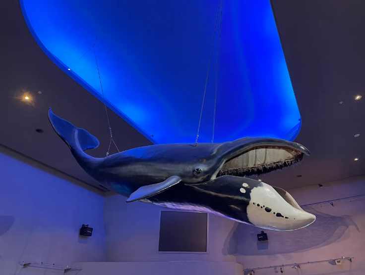 Toba Aquarium
