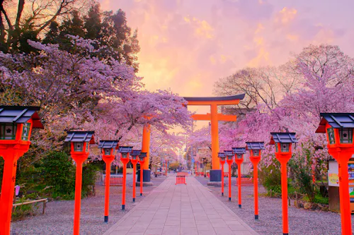 A stone pathway lined with red lanterns leads to a traditional Japanese torii gate, surrounded by blooming cherry blossom trees under a colorful sunset sky.