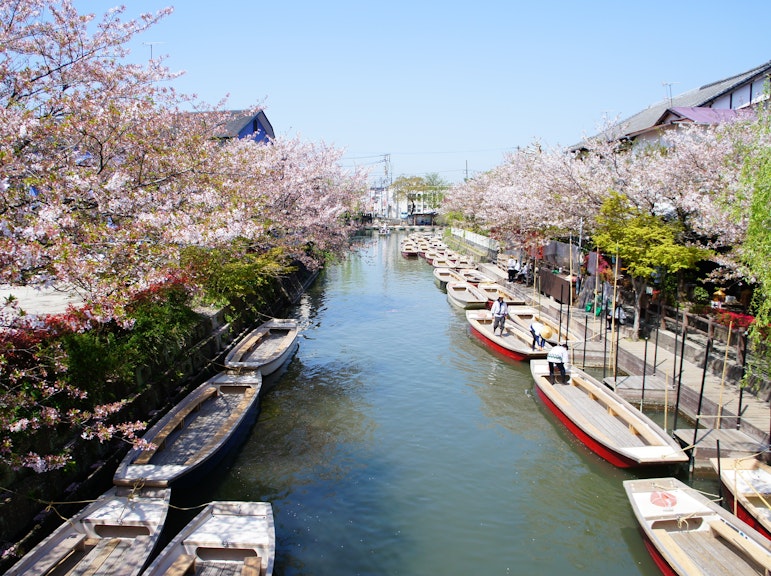半日ガイド付き柳川川クルーズとうなぎランチ
