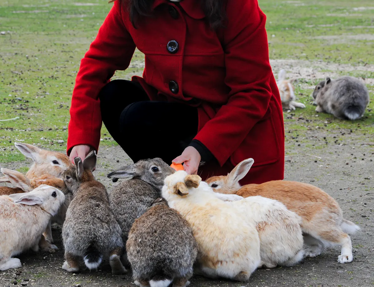 Okunoshima Okunoshima