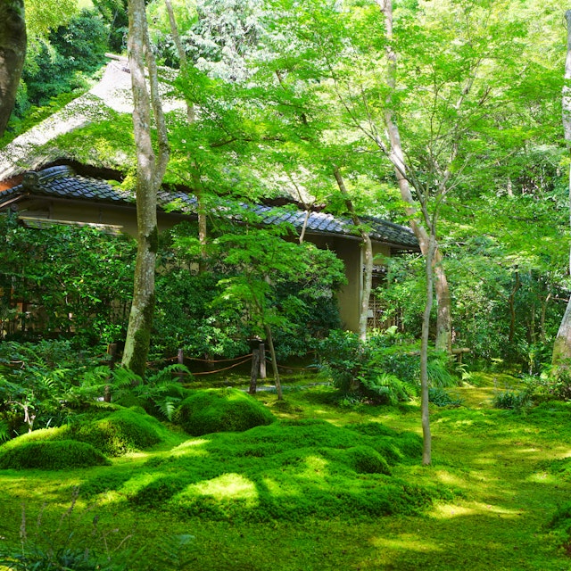 祇王寺 - Trip To Japan